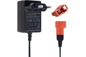 JSSANDAN Caricabatteria 6 V per veicoli elettrici, 6 Volt Spina quadrata compatibile con Kid Trax Disney Frozen, Audi R8, Moto ATV e altri giocattoli