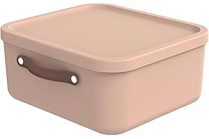 Rotho Maloja Storage Box 20 L, Plastic, Pink, 20 (39.5 x 38.0 x 17.7 cm)