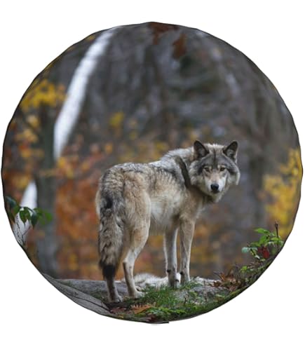 Reserveradabdeckung Three Wolves - Wasserdichte Reifentasche 35.6cm