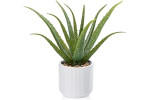 Oairse Pianta artificiale in vaso di aloe vera artificiale in vaso di ceramica, piante artificiali, decorazione per piante, soggiorno, balcone, camera da letto, bagno, camera da tavolo