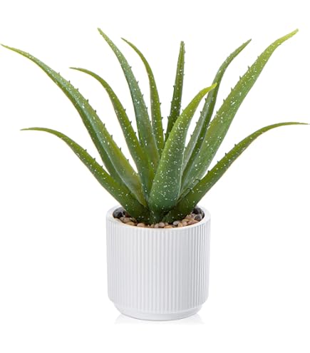 Oairse Pianta Artificiale In Vaso Di Vetro Con Acqua Finta – Dracaena Reflexa 36 Cm - 5