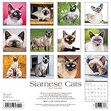 Image de Siamese Cats 2017 Calendar