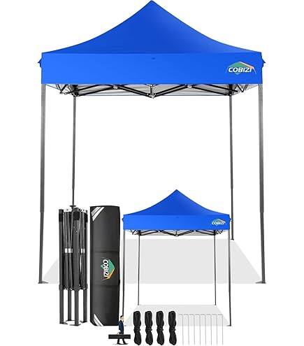 COSTWAY Paviljoen, 2 x 2 m, pop-up vouwpaviljoen, waterdicht, stabiel, winterbestendig, uv-bescherming 50 , vouwtent, incl. 8 grondnagels, 4 scheerlijnen en 1 draagtas, tuinpaviljoen voor terras, tuin