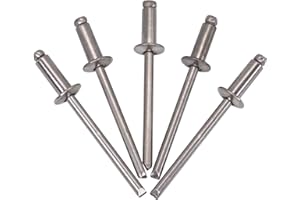 SKIR'CO Rivetti ciechi in acciaio inox, 4,0 x 10 mm, testa a cupola, rivetti pop, DIN 7337, rivetti A2 (100, 4,0 x 10 mm)