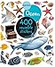 Eyelike Stickers: Ocean by 