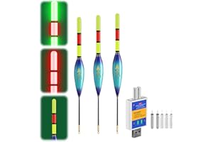 ‎ACAREY ACAREY LED Posen Angeln Set mit Bissanzeiger, Doppelfarbige Nachtfischboje, Leuchtposen Angel 4g/5g/6g/7g/8g/9g Tragkraft, Inkl. Batterien Ladegerät, Angelzubehör Für Fluss und See