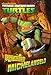Ursprung der Mutanten: Michelangelo (Teenage Mutant Ninja Turtles) by Nickelodeon Publishing