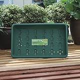 10 X GARLAND STANDARD SEED TRAY GREEN GREENHOUSE HYDROPONICS G17G