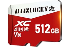 ALLINLUCKY Scheda di Memoria Micro SD da 512 GB Scheda SD Waterproof Memory Card SD with Smartphone, Camera, Tablet, Drone, Smart TV