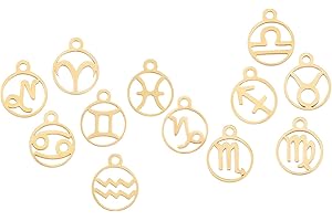 SUNNYCLUE 1 Boîte 12Pcs Acier Inoxydable 12 Constellations Signe du Zodiaque Pendentifs Charmes Astrologie Horoscope Charme Perles Plat Rond Bijoux Accessoires pour Femmes DIY Bijoux