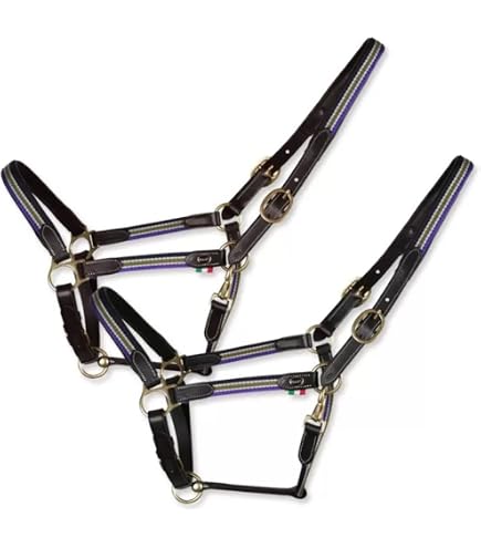 Cavezza Imbottita LeMieux Vogue Per Cavallo Con Pile | Colore Ginepro | Inclusa Corda Di Conduzione 1,8m