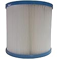 BlueWave CF25 Swimming Pool Cartridge Filter Element