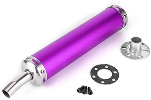 Niiyen Terminale di Scarico Ingresso, Sistema di Tubi marmitta Scarico Moto, silenziatore silenziatore Scarico in Acciaio Inox 20mm/0.8in Parti modificate per Moto a 2 Tempi(Viola)