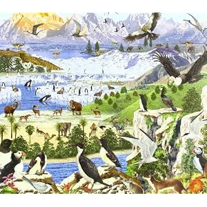Busca Los Animales De La Tierra/Find the Earth Animals