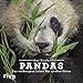 Cover zum Buch Pandas: Das verborgene Leben der groß...