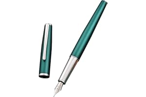 ASVINE Hongdian 920 - Penna stilografica in metallo verde iridio con punta extra fine con convertitore ricaricabile e custodia per penna