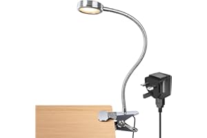 LEPOWER Clip on Light/Reading Light/Book Light Color Changeable/Night Light Clip on for Desk, Bed Headboard and Computers, Include UK 3-pin Plug Adapter (Silver)