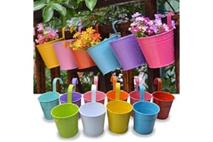 Trongle 10 PACKS Metal Iron Flower Pot With Detachable Handle, Small Garden Plant Pot Vase Hanging Garden Planter Holders Indoor and Outdoor Home Decor