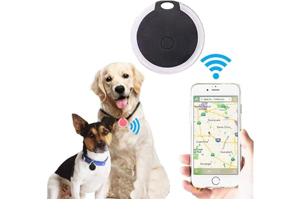 cat gps collar amazon