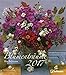 Produktbild Blumenträume 2017 - Blumenkalender 2017, Gartenkalender, Naturkalender, Wandkalender 2017  -  30 x 34 cm