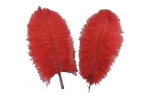 Sowder - Plumas de avestruz para decoración de bodas (5 unidades, 40 - 45 cm)