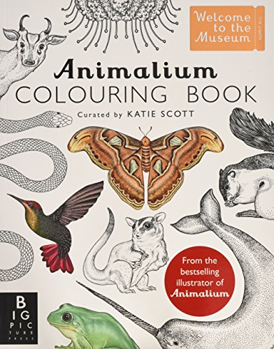 Book's Cover ofAnimalium Colouring Book