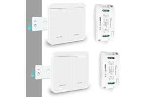 Tedeligo Kit interruttore luce wireless, relè interruttore mobile CA 220V 230V 240V Ricevitore RF Trasmettitore radio 433Mhz Gamma di controllo 100 metri per illuminazione