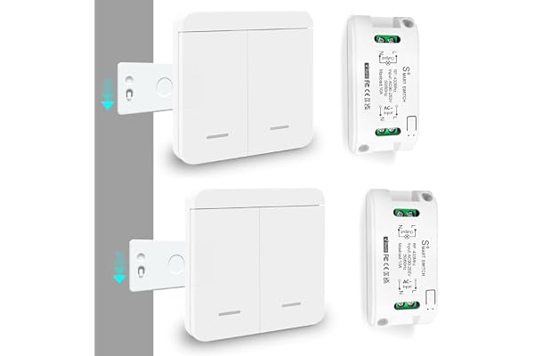 Tedeligo Kit interrupteur lumière sans fil CA 220-240 V récepteur RF 433 MHz contrôlable à 100 mètres