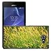 Produktbild Hülle Case Schutzhülle Cover Premium Case // M00155176 Grassamen Goldene Samen Lange Seeds // Sony Xperia M2 D2303 D2305 D2306