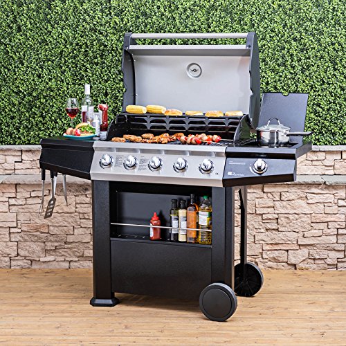 Fire Mountain Olympus Plus 5 Burner Gas Barbecue Gas Barbecue Deals