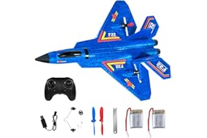 Fivtsme F22 RC, Avion Télécommandé de Chasse, Radiocommandé Extérieur, 2,4 GHz, Pour Adultes, Enfants, Garçons, Débutants
