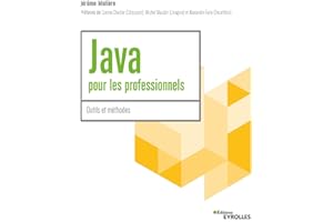Java pour les professionnels: Outils et méthodes
