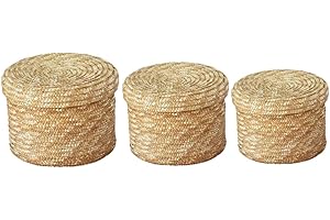 Odoukey Cestas de Almacenamiento con Tapa, cestas de Almacenamiento de Paja 3pcs con Organizador Tejido de Tapa Caja de Almacenamiento Redonda de Almacenamiento para Sala de Estar de Sala de