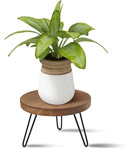 Spetebo Sgabello Portavaso In Teak Massiccio 3 Gambe – Altezza 45 Cm, Diametro 30 Cm – Supporto Per Piante Da Giardino, Naturale
