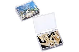 ERLIWAY Box of Fossilized Shark Teeth - Real Prehistoric Shark Tooth Set for Fossil Education and Collection -Style 2