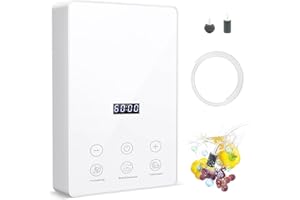 ICARE Generator ozonu do wody, 1000 mg/h, wysoka wydajność, z 60-minutowym timerem, do czyszczenia owoców, warzyw, mięsa, owoców morza, sztućców, butelek na mleko