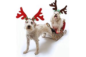 Mfsdai Serre Tete Renne Noël de Père pour Chien Chat,Décoration Accessoires Réglable pour Animaux de Compagnie avec Clochette