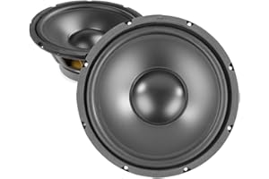SKYTEC 2x Skytronic 10" Speaker Drivers 500W