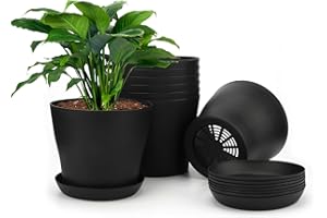 KINGLAKE 8Pcs 4" Small Black Plant Pots Plastic Flower Pots Indoor Plant Pots for Office House Desk with Trays/Pallets