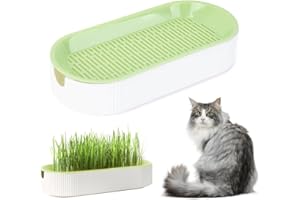 Jodimitty Cat Grass Tray Catnip Planter Tray Soil Free Hydroponic Cat Grass Box PP Plastic Planting Seed Tray to Plant Cat Grass for Indoor Cats (Oval, 21x9.2x4.5cm, Green)