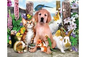 YEESAM ART DIY Ölgemälde Malen nach Zahlen Erwachsene Kinder, Katze Hund Eichhörnchen Hase Vogel Tiere Blumen Zahlenmalerei ab 5 Öl Wandkunst (Tiere, ohne Rahmen)