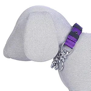 Pets Like Dog Choke Collar Purple(20mm)