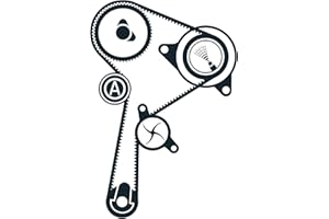 SKF VKMC 06136 Kit de Distribution avec Pompe à Eau