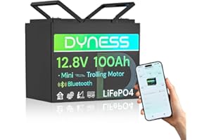 ‎DYNESS Dyness LiFePO4 12V 100Ah Lithium Batterie Bluetooth Mini mit 100A BMS, Max.15000 Zyklen, 12V Deep Cycle Lithium Eisenphosphat Batterie für Wohnwagen, Solar Home Systeme, Boote