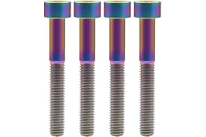 Ruifu Tornillos de cabeza Allen M5x10 12 16 18 20 25 28 30 35 40 45 50 55 60 mm titanio Gr5 Allen cabeza tornillos paso 0,8 mm para bicicleta tija de sillín de bicicleta freno de auriculares (paquete