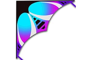 HONBO Large Delta Kites For Kids and Adults For Beach Trip Outdoor games,Perfect for Beginners,String Line Included Toys Easy To Fly Kites with Colorful Colors Tail