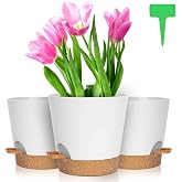 OFFCUP Indoor Decorative Planters with Drainage Holes, 3pcs Automatic Watering Pots with Holes 20CM, Plastic Pots with Saucer