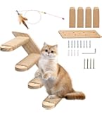 Kattenladder, Kattentrap, Gevlamd, Kattentrede Voor Balkon, 1 M Tot 6 M Met Schroefhaken Outdoor Ladder Lengte M 651964378