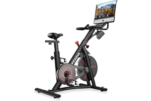 ‎YESOUL YESOUL G1M Plus Heimtrainer Ergometer, Leises Indoor Fitnessbike für Kardio Training mit Neuem 21,5" FHD-Bildschirm, Magnetischem Widerstand, 360°-Sound & Bildschirmspiegelung
