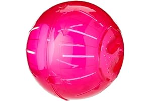 HARRISON'S BIRD FOODS Walter Harrisons Balle d'exercice en Plastique pour rongeurs et Rats Taille L 25 cm